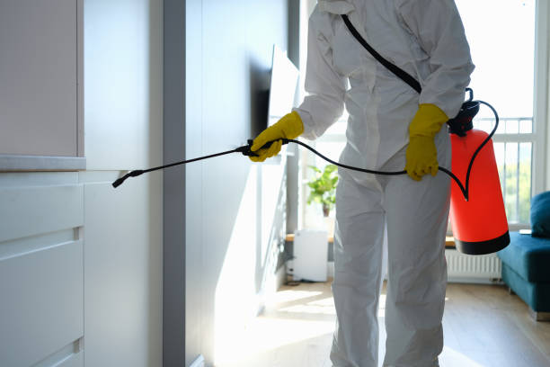 Best Professional Mold Removal  in Windsor, PA